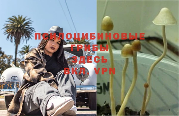 прущая мука Алзамай